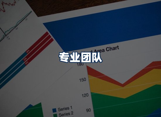 专业团队
